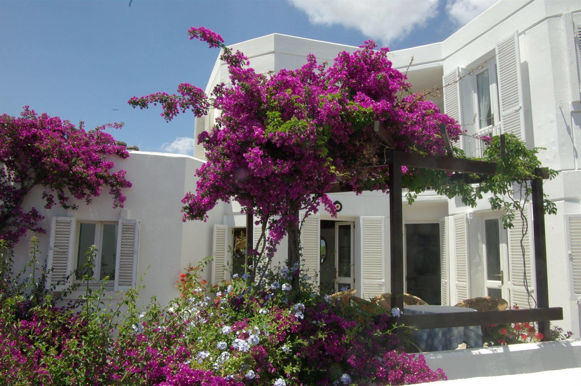 Antique Theatre Hotel Bodrum Exterior foto