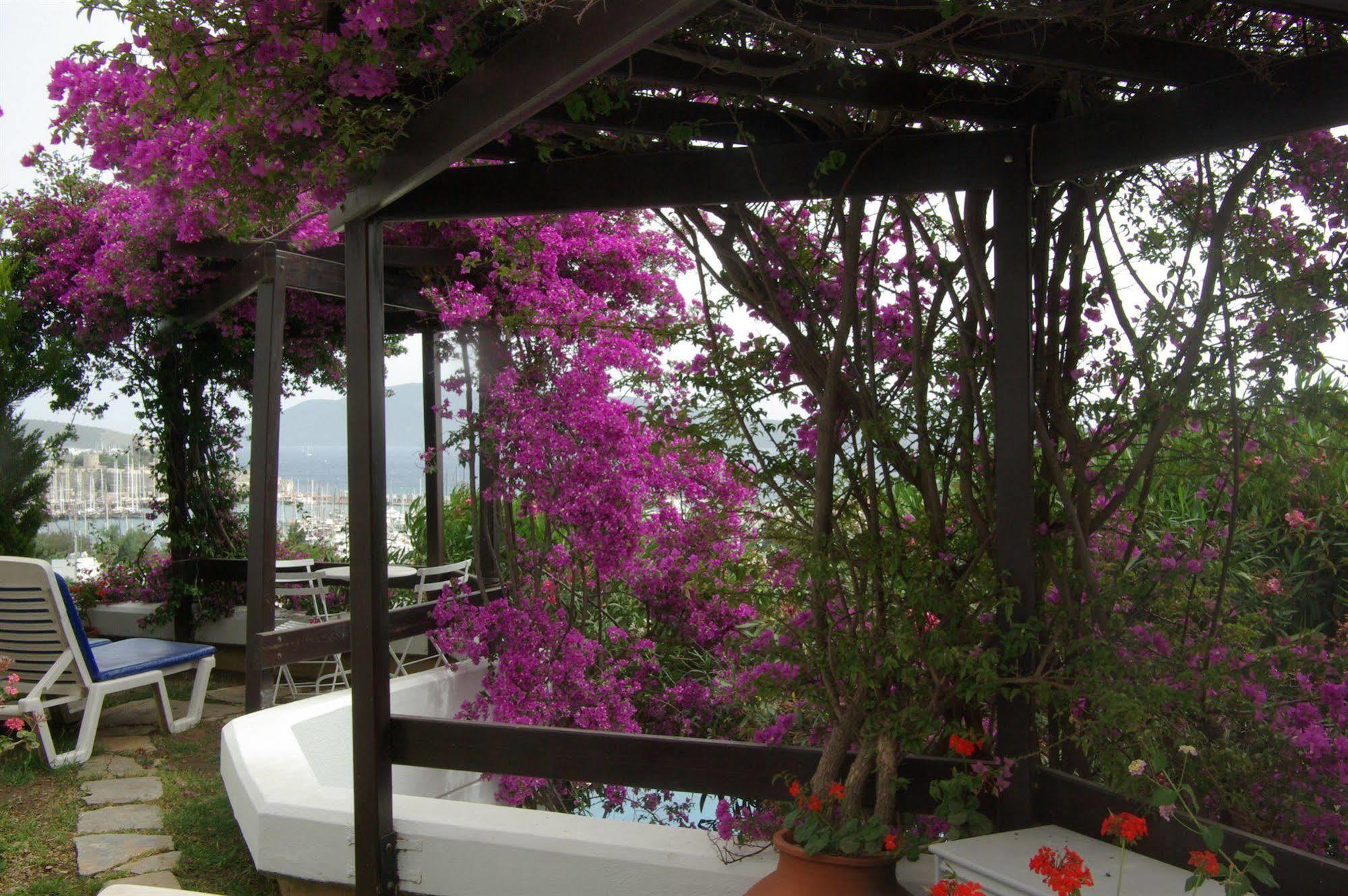 Antique Theatre Hotel Bodrum Exterior foto