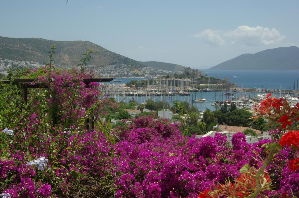 Antique Theatre Hotel Bodrum Exterior foto